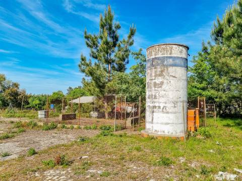 Armazém destinado a Indústria e Armazém – Macieirinha, Leiria