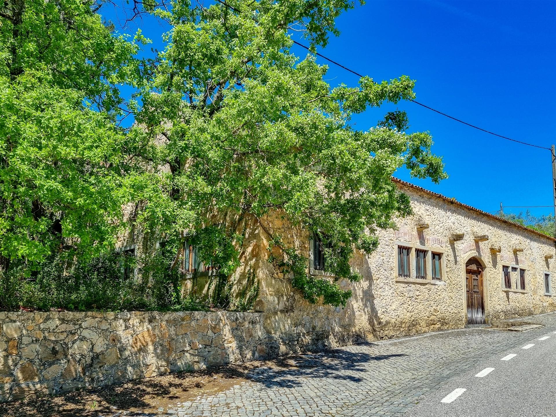 Restaurante e Bar em Antigo Lagar – Abiul, Pombal (Leiria)