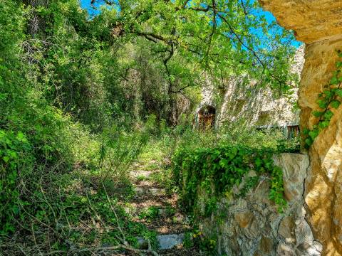 Restaurante e Bar em Antigo Lagar – Abiul, Pombal (Leiria)