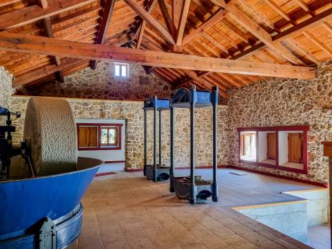 Restaurante e Bar em Antigo Lagar – Abiul, Pombal (Leiria)