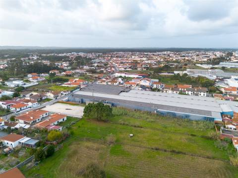 Terreno para construção habitacional, situado em Amieirinha | concelho da Marinha Grande