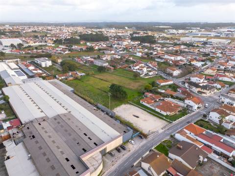 Terreno para construção habitacional, situado em Amieirinha | concelho da Marinha Grande