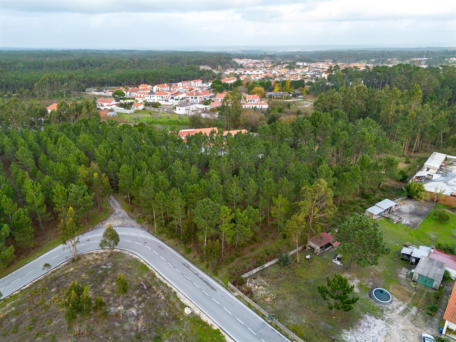 Terreno destinado a construção, sito em Trutas | Marinha Grande