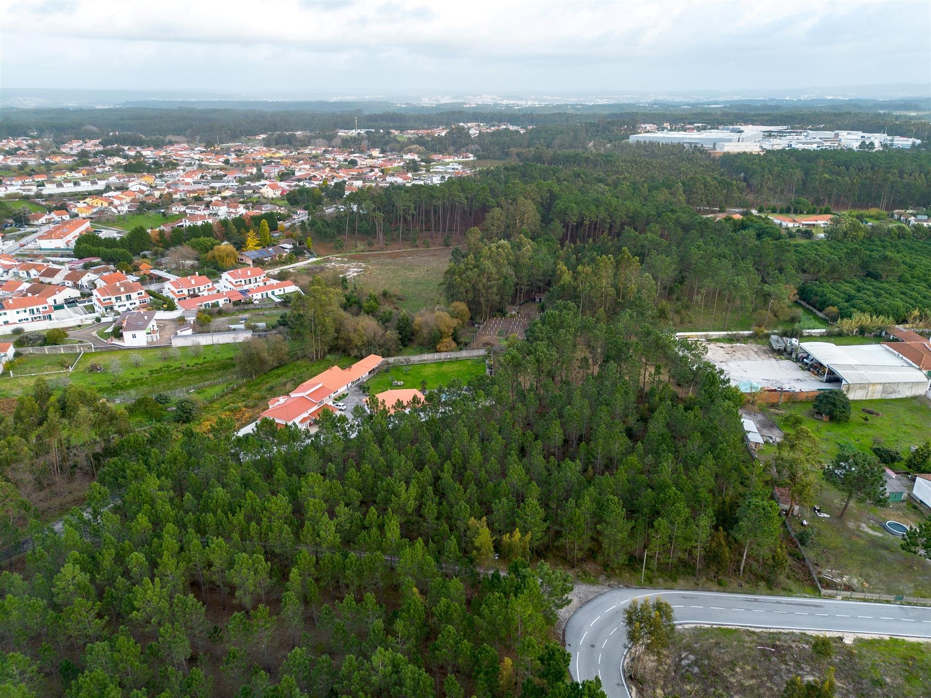 Terreno destinado a construção, sito em Trutas | Marinha Grande
