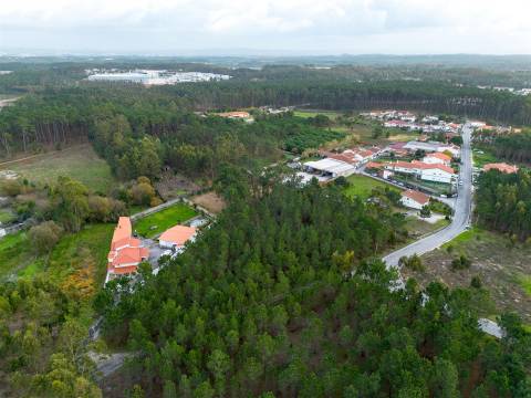 Terreno destinado a construção, sito em Trutas | Marinha Grande