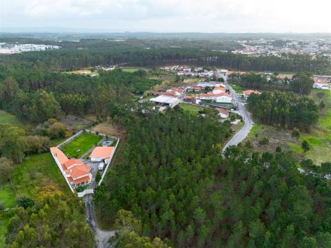 Terreno destinado a construção, sito em Trutas | Marinha Grande