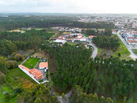 Terreno destinado a construção, sito em Trutas | Marinha Grande