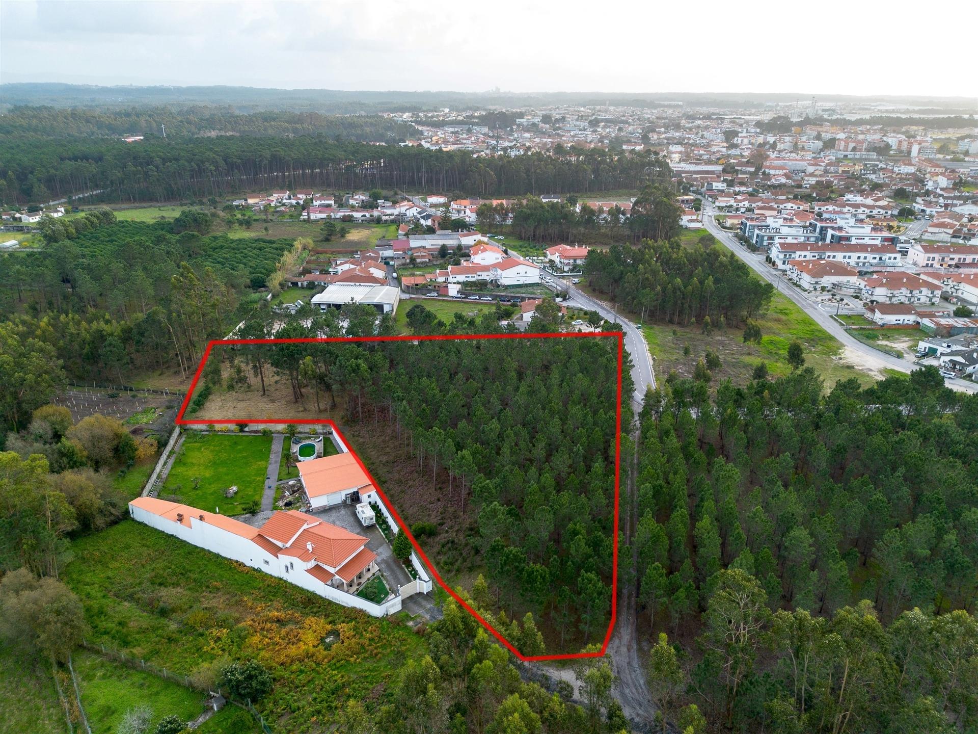 Terreno destinado a construção, sito em Trutas | Marinha Grande