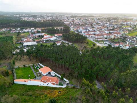 Terreno destinado a construção, sito em Trutas | Marinha Grande