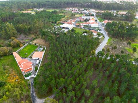 Terreno destinado a construção, sito em Trutas | Marinha Grande