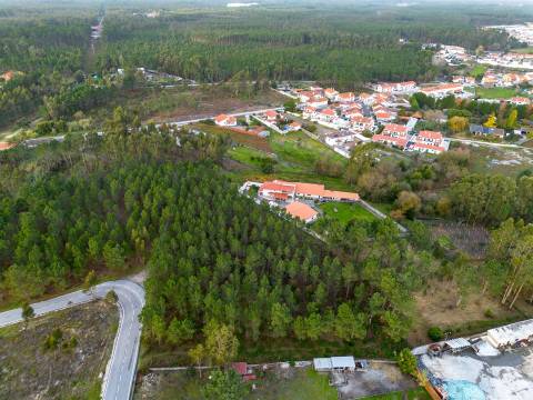 Terreno destinado a construção, sito em Trutas | Marinha Grande
