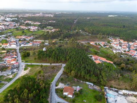 Terreno destinado a construção, sito em Trutas | Marinha Grande