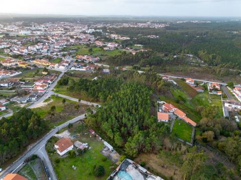 Terreno destinado a construção, sito em Trutas | Marinha Grande