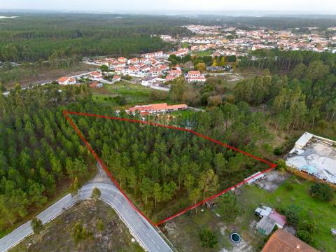 Terreno destinado a construção, sito em Trutas | Marinha Grande