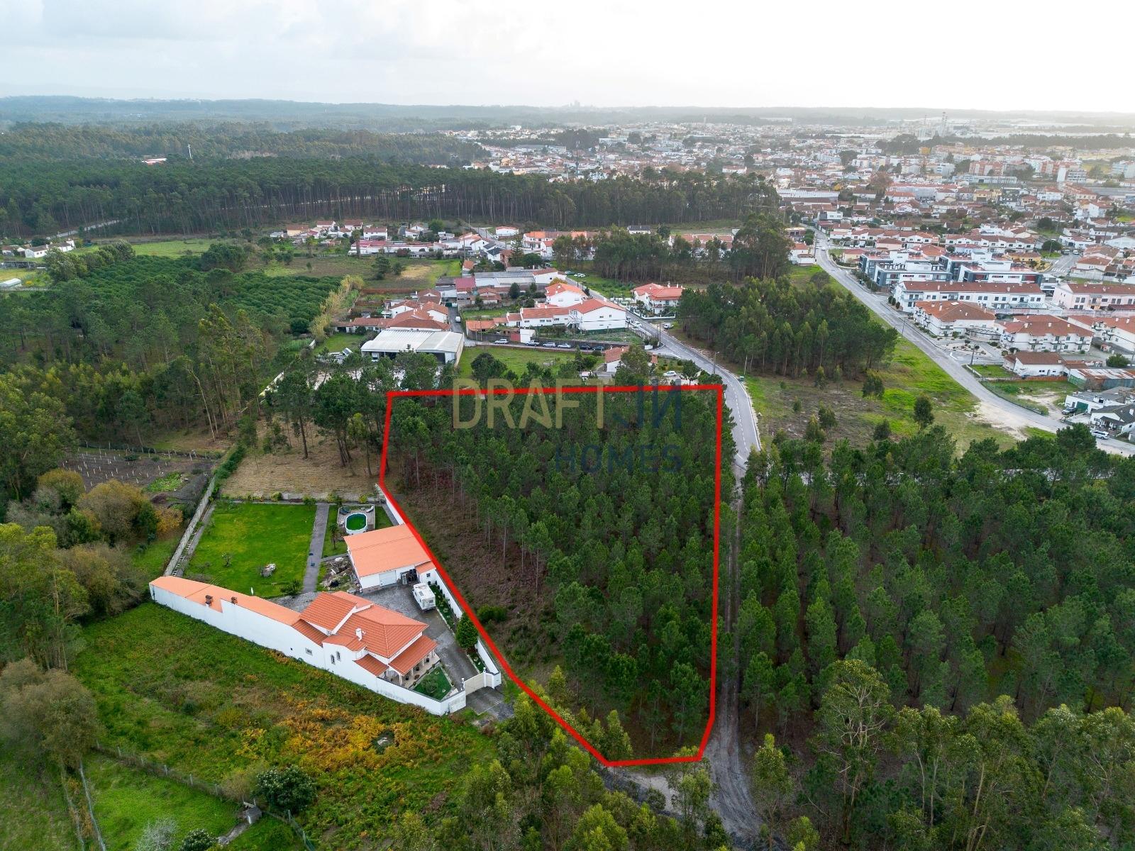 Terreno destinado a construção, sito em Trutas | Marinha Grande