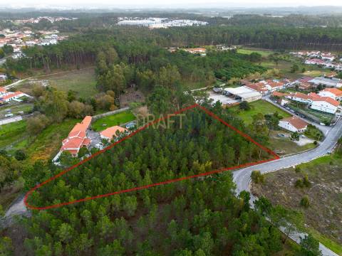 Terreno destinado a construção, sito em Trutas | Marinha Grande