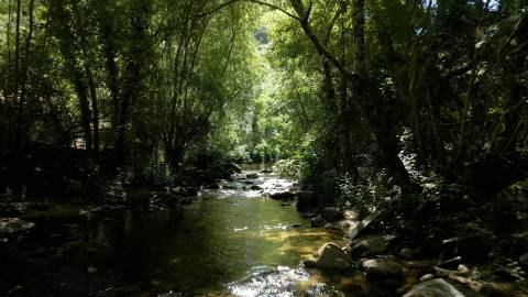 Quinta de Batéu – Douro Vinhateiro