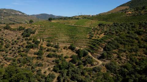 Quinta de Batéu – Douro Vinhateiro