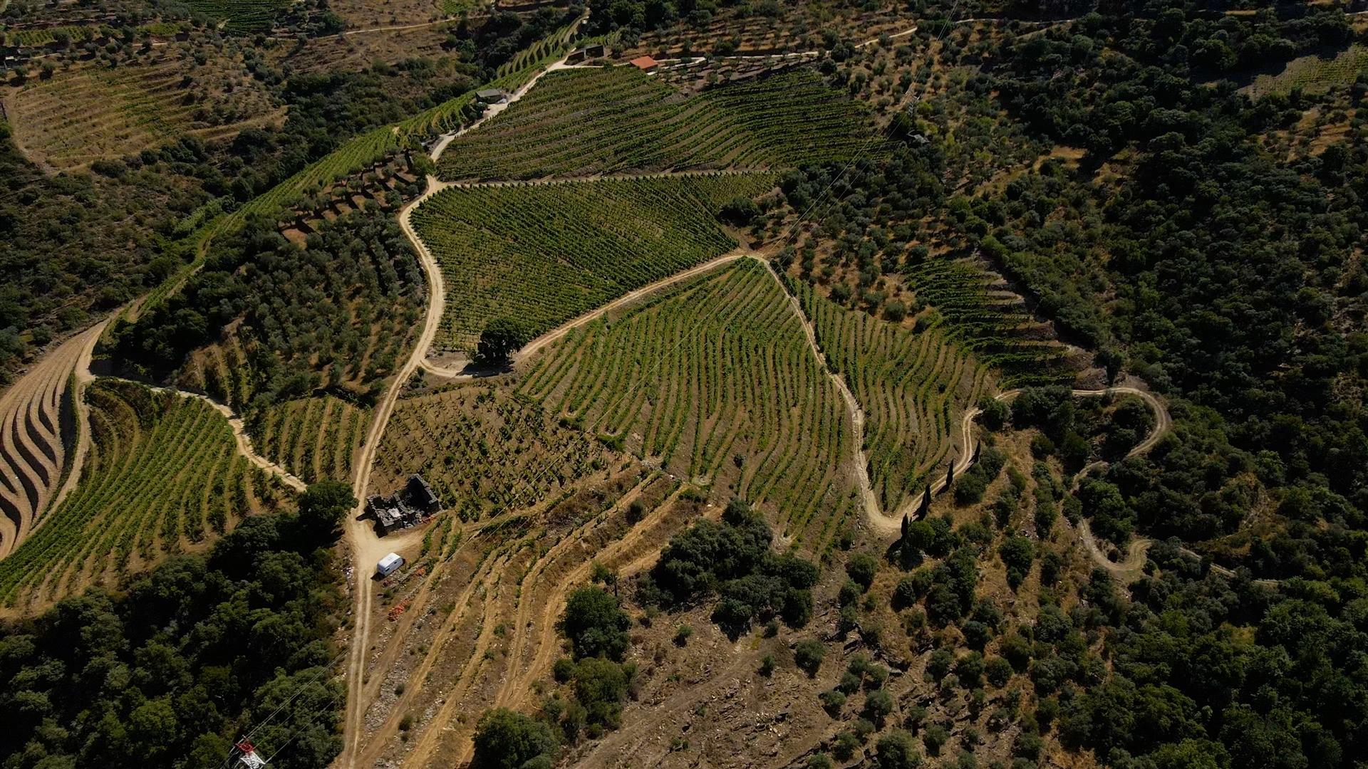 Quinta de Batéu – Douro Vinhateiro