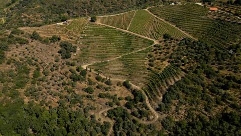 Quinta de Batéu – Douro Vinhateiro