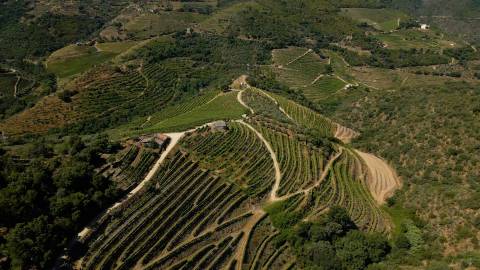 Quinta de Batéu – Douro Vinhateiro