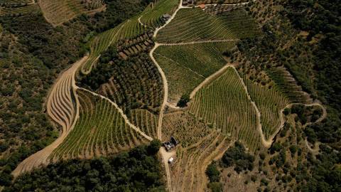 Quinta de Batéu – Douro Vinhateiro