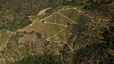Quinta de Batéu – Douro Vinhateiro