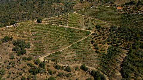 Quinta de Batéu – Douro Vinhateiro