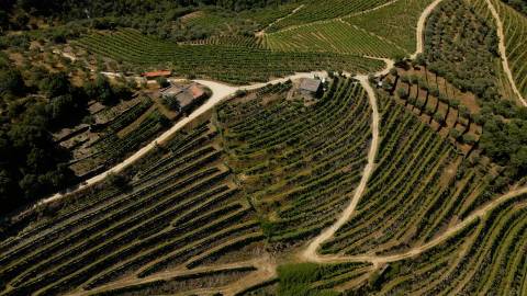 Quinta de Batéu – Douro Vinhateiro