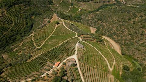 Quinta de Batéu – Douro Vinhateiro
