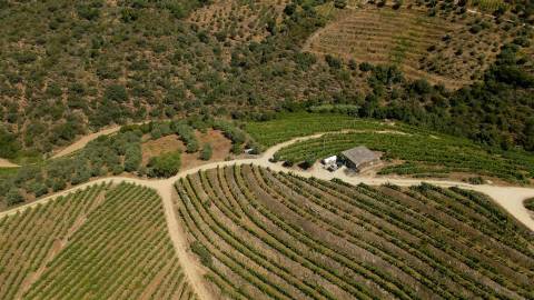 Quinta de Batéu – Douro Vinhateiro