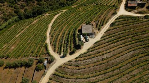 Quinta de Batéu – Douro Vinhateiro