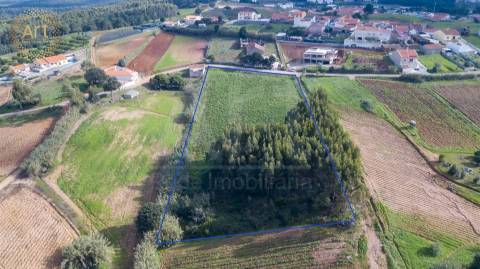 Terreno  Venda em Campelos e Outeiro da Cabeça,Torres Vedras
