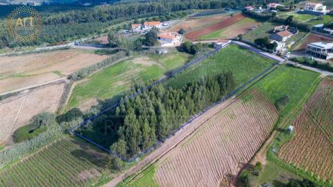 Terreno  Venda em Campelos e Outeiro da Cabeça,Torres Vedras