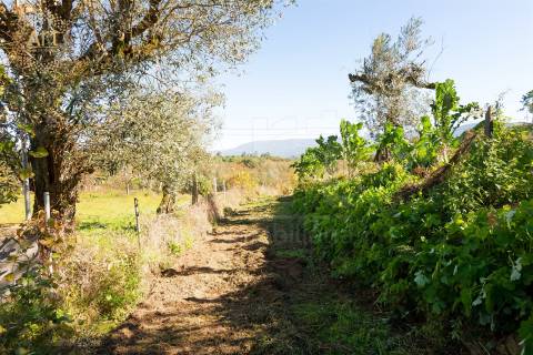 Quinta T4 Venda em Tourais e Lajes,Seia
