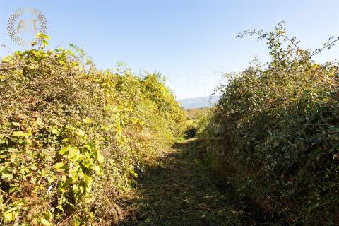 Quinta T4 Venda em Tourais e Lajes,Seia