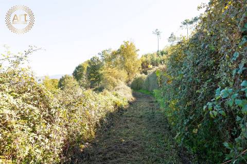 Quinta T4 Venda em Tourais e Lajes,Seia