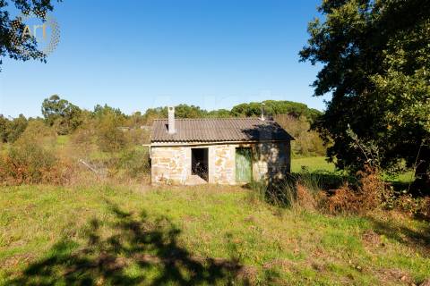 Quinta T4 Venda em Tourais e Lajes,Seia