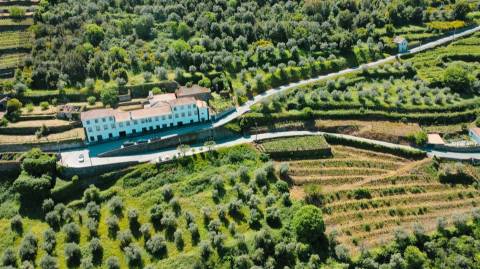 Casa senhorial brasonada do Século XVIII na região do Douro