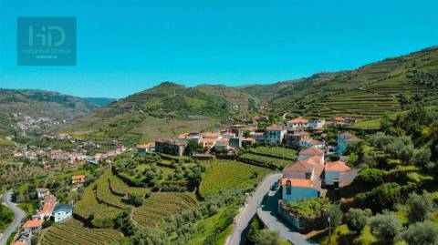 Casa senhorial brasonada do Século XVIII na região do Douro