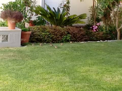 Moradia T4+1 com 303m2 em Serzedo