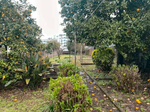 Moradia T6 Venda em Ramalde,Porto