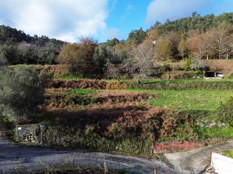 Terreno Para Construção  Venda em Ribeira do Neiva,Vila Verde