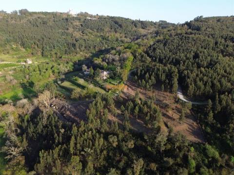 Terreno  Venda em Nogueiró e Tenões,Braga