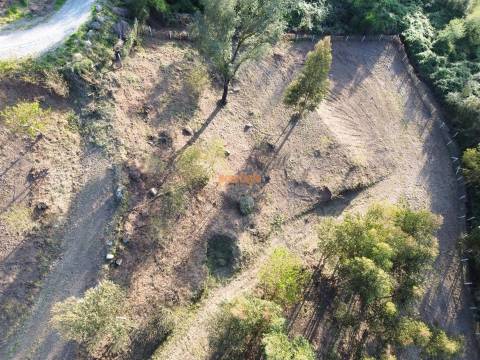 Terreno  Venda em Nogueiró e Tenões,Braga