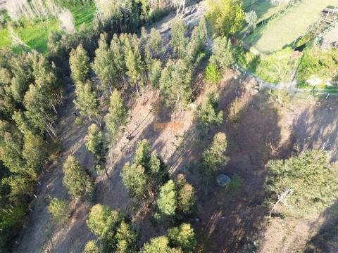 Terreno  Venda em Nogueiró e Tenões,Braga