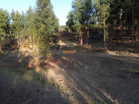 Terreno  Venda em Nogueiró e Tenões,Braga
