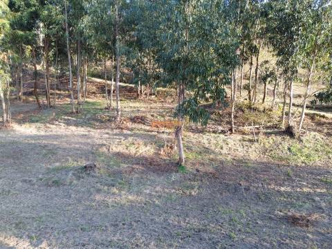 Terreno  Venda em Nogueiró e Tenões,Braga