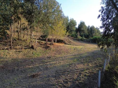 Terreno  Venda em Nogueiró e Tenões,Braga