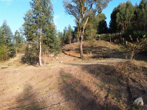 Terreno  Venda em Nogueiró e Tenões,Braga